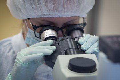 Los especialistas aseguran que "se necesitan investigaciones más detalladas, rastreando cuidadosamente quién infecta a quién y qué superficies y espacios compartieron en el momento de la infección" (Bloomberg)