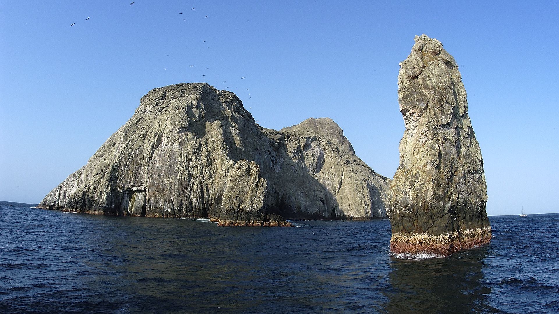 Isla Malpelo-Valle del Cauca-Colombia