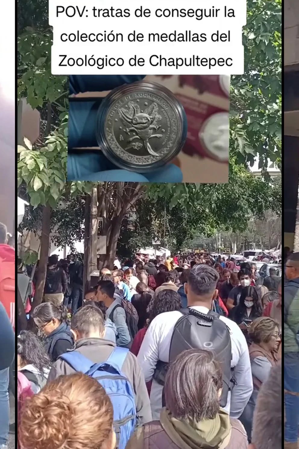 Te quedaste sin las tuyas? Regresan monedas conmemorativas del Zoológico de  Chapultepec - El Heraldo de Tabasco