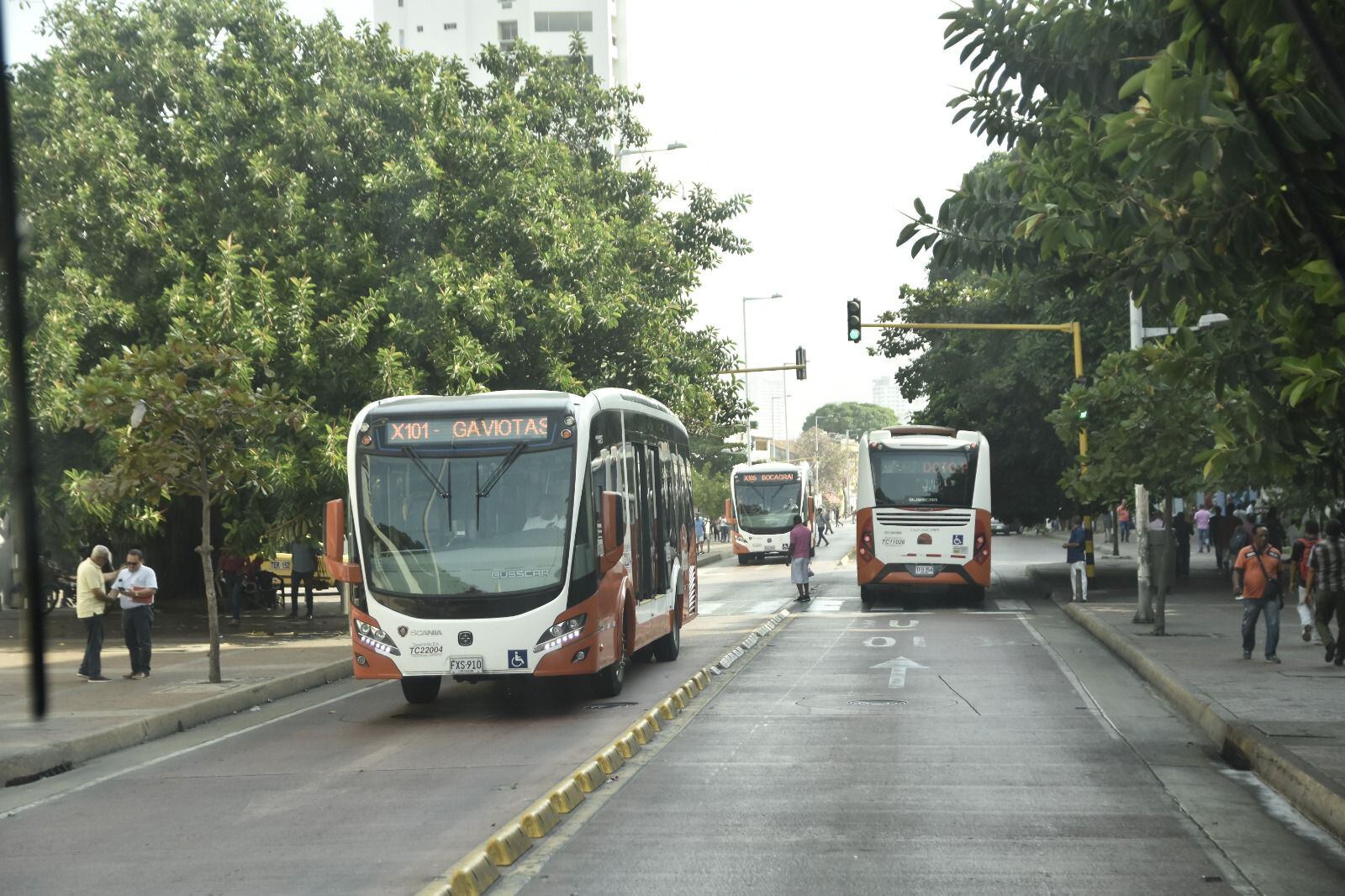 El protocolo fue activado de inmediato, con la colaboración del operador, guardas de seguridad y el equipo en campo, tras el reporte del incidente - crédito Alcaldía de Cartagena