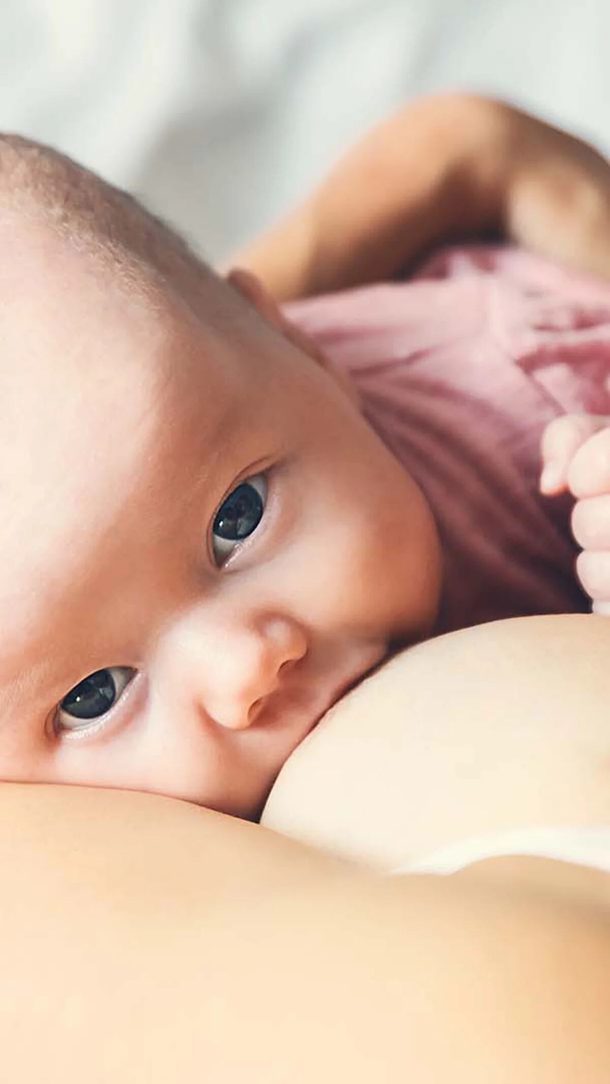 Mitos y verdades sobre el primer baño del bebé recién nacido - Infobae