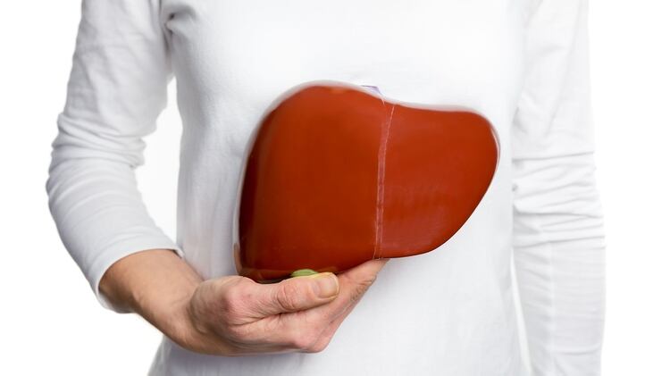 El hígado graso asociado al sobrepeso, la diabetes y el sedentarismo será en los próximos años la principal causa de enfermedad hepática (Shutterstock)