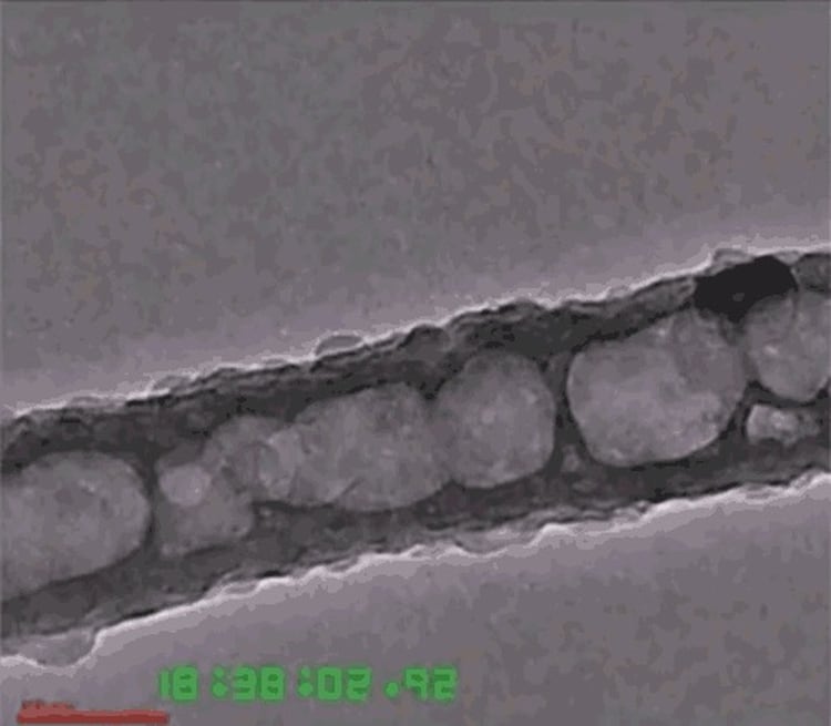 Revestimiento de metal reversible pelado en un túbulo de carbono con un diámetro interno de 100 nanómetros Foto: (MIT) 