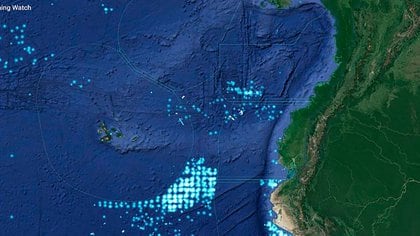 Eeuu Alerto Sobre Las Practicas Pesqueras Depredadoras De China En La Isla De Galapagos Infobae