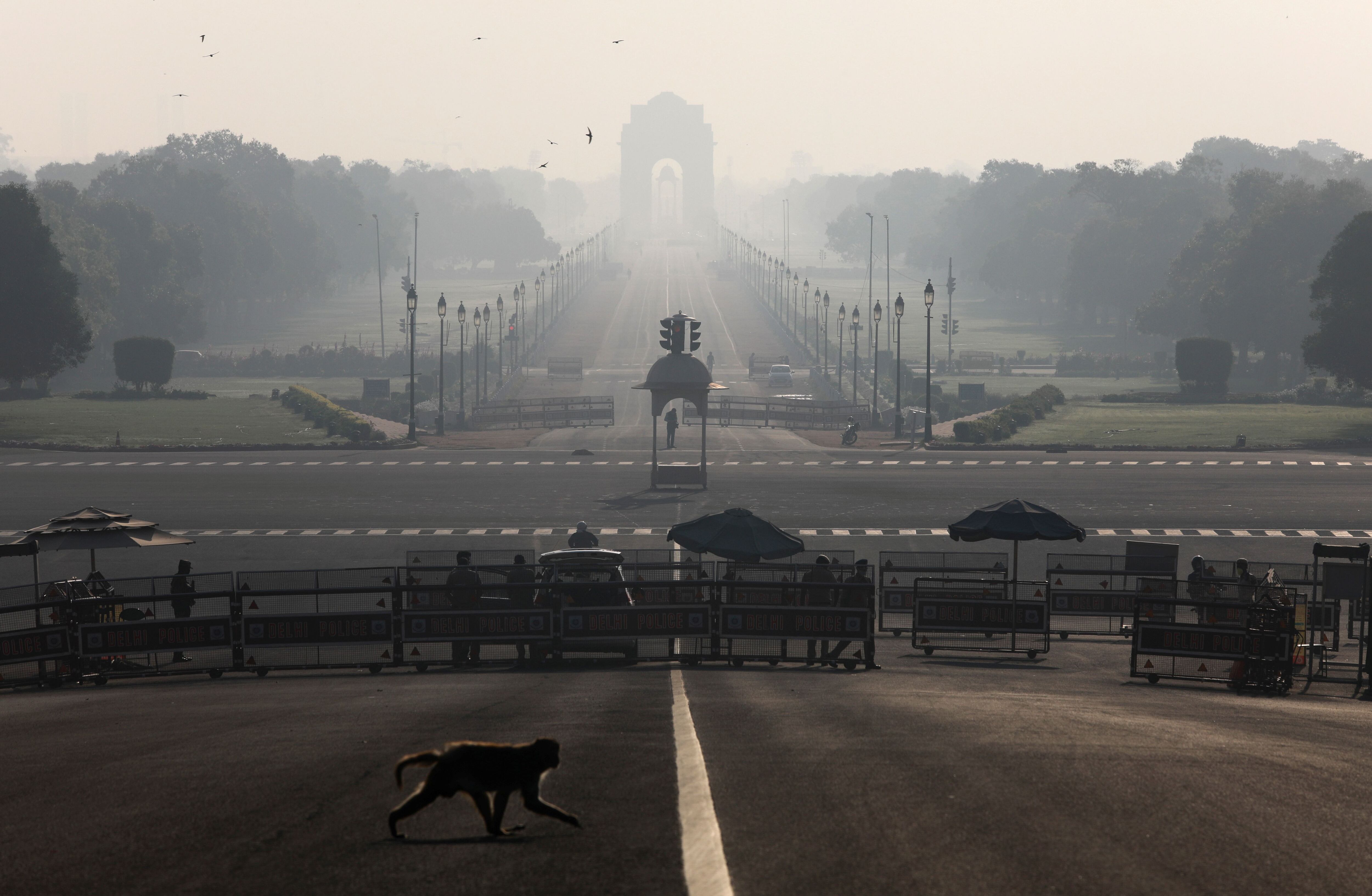Un mono cruza la calle que lleva al Palacio Presidencial en Nueva Delhi (Reuters)