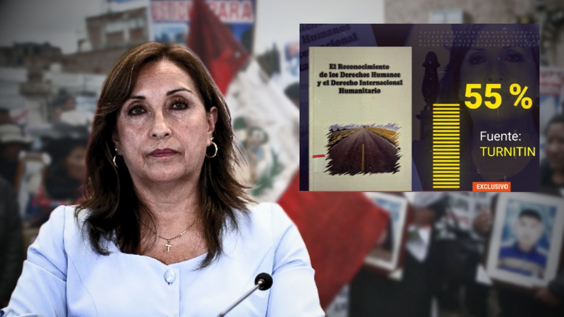 Dina Boluarte plagió en libro de coautoría de Derechos Humanos 55 no está citado según