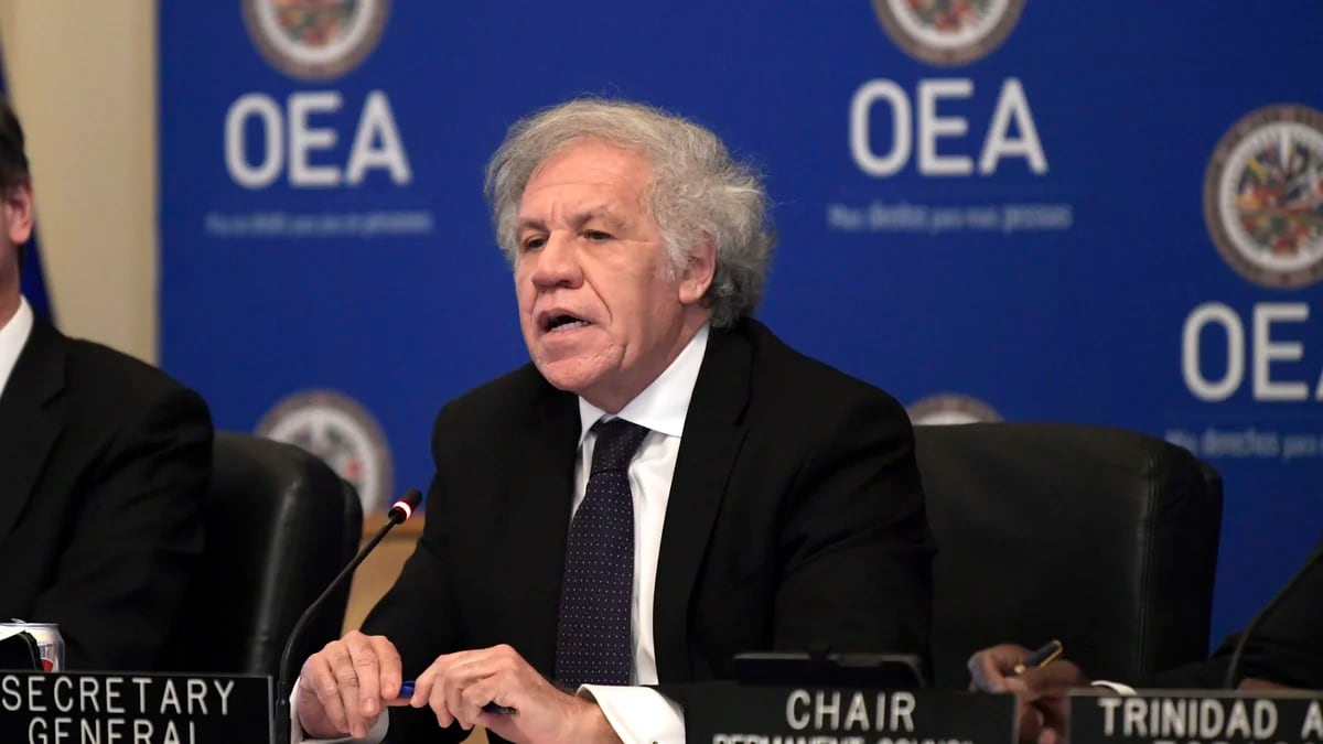 La oposición de Nicaragua confía en el apoyo de la OEA en su lucha por restablecer la democracia en el país