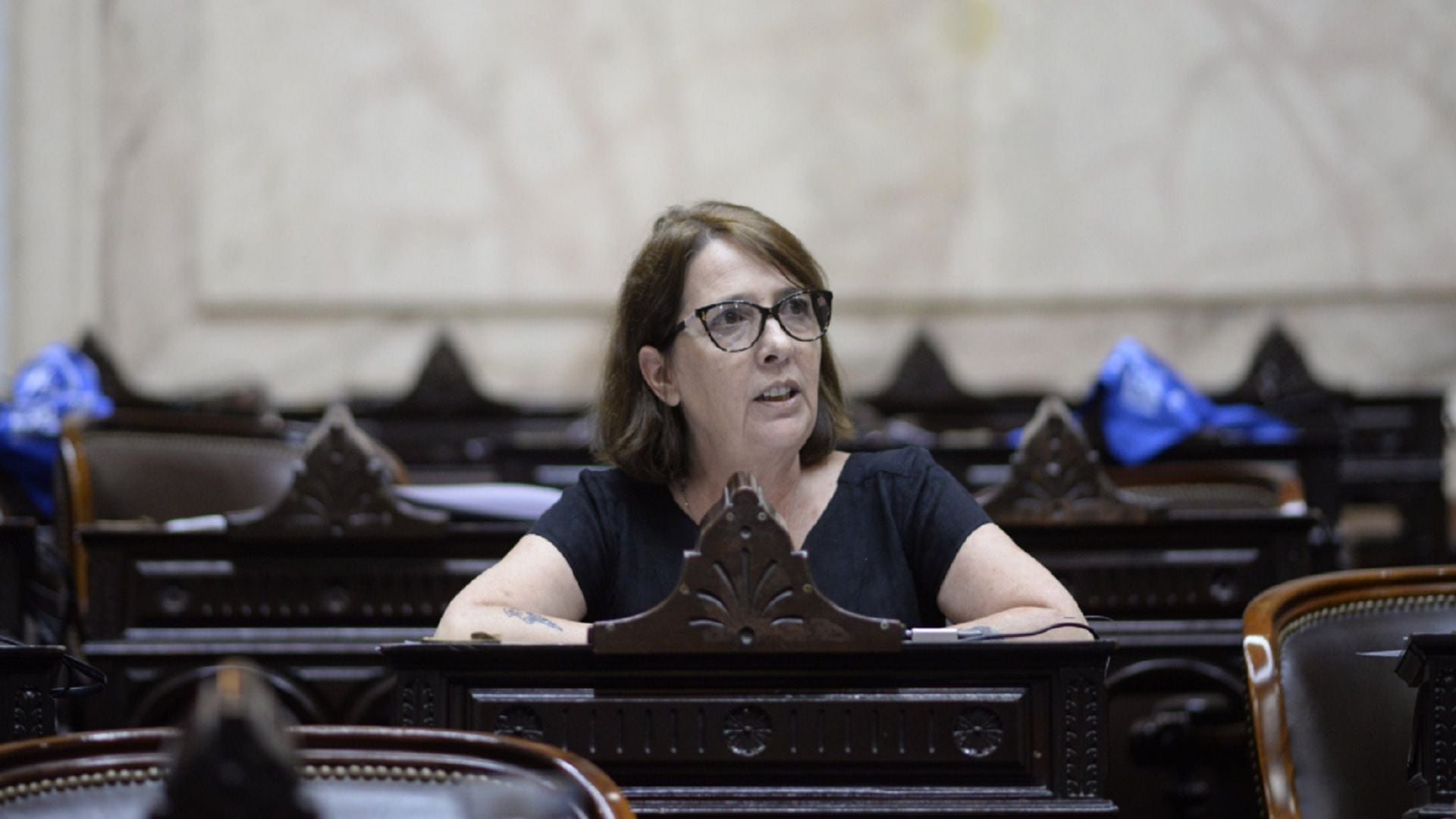 María Luján Rey, del PRO