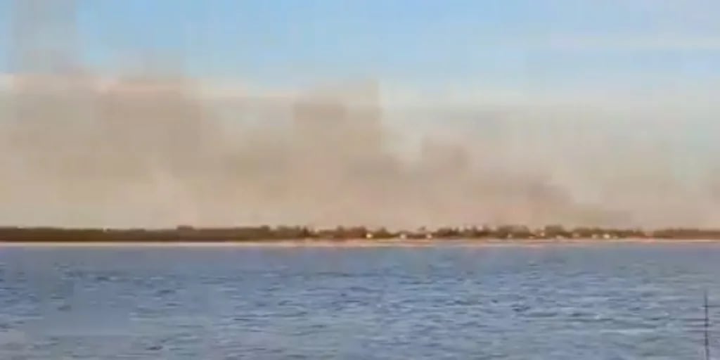 Incendios en las islas del río Paraná: Entre Ríos, Santa Fe y la Nación establecieron un plan para combatir el fuego