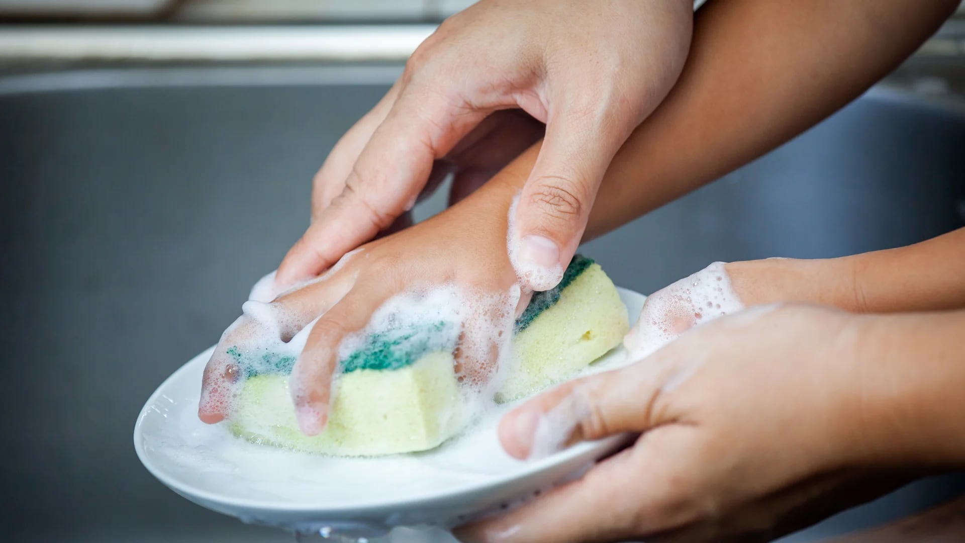 Por qué nunca hay que lavar la esponja de cocina para volverla a usar -  Infobae