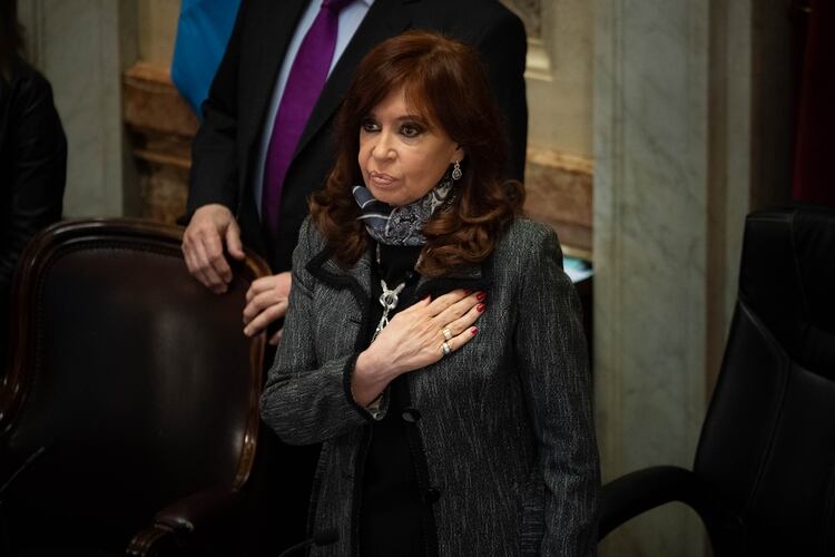 Cristina Fernández de Kichner en el Senado (Foto: Franco Fafasuli)