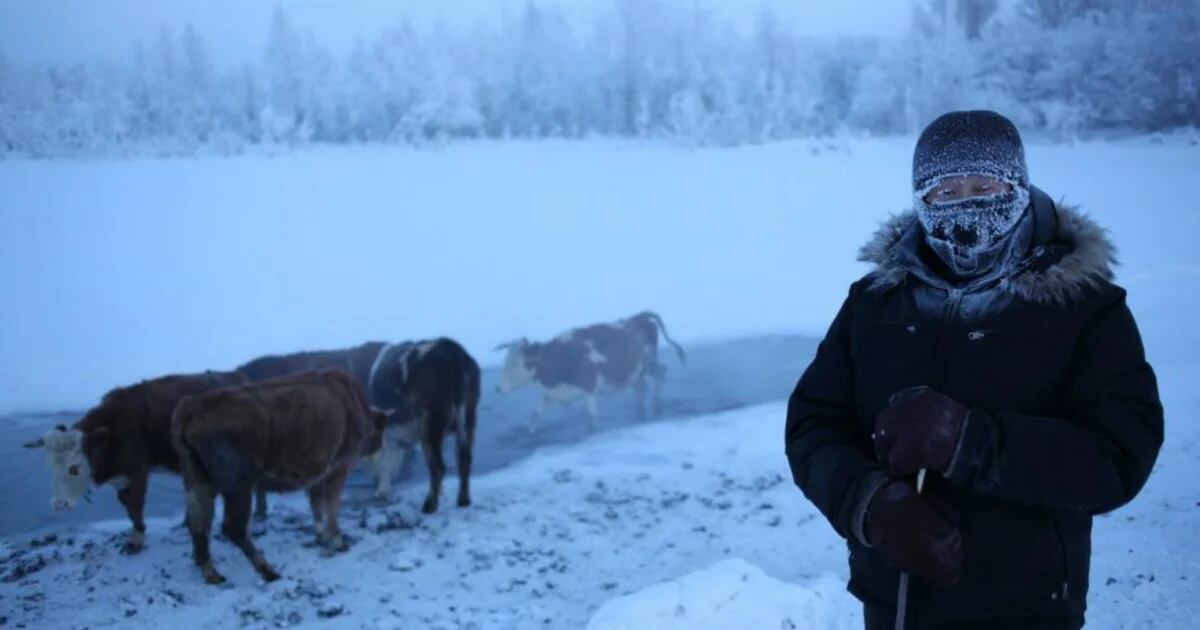 Un invierno a -62 ºC: cómo sobreviven los habitantes de Oymyakon