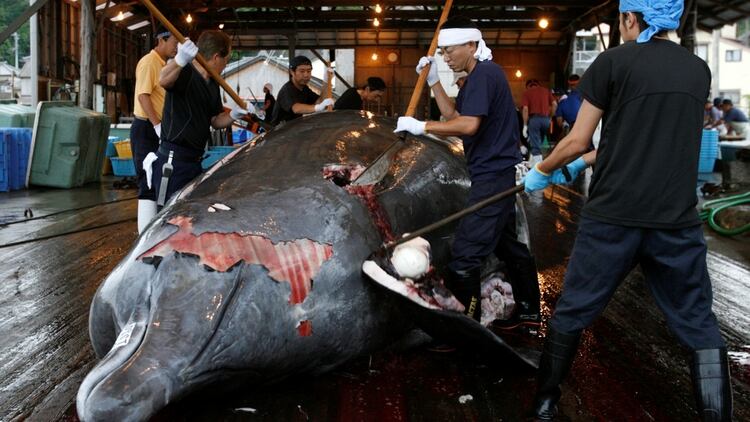 Vendedores de ballena en el sur este de Tokio. (Reuters)