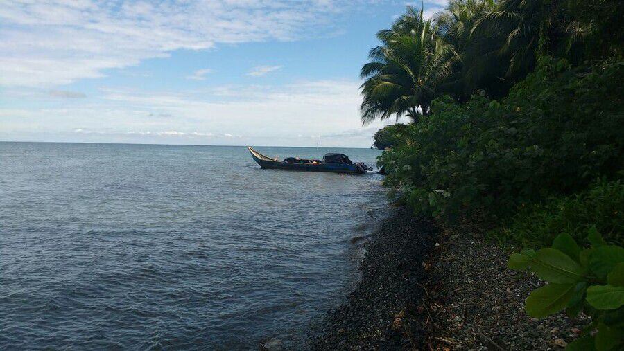 Pol Mica Por Muelle Que La Armada Quiere Construir En La Isla Gorgona