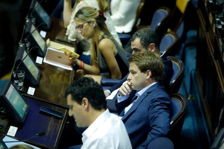 Los legisladores de Juntos por el Cambio avanzaron en un acuerdo con sus pares del Frente de Todos en la Cámara baja (Santiago Salva)