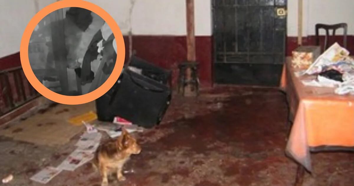 Equipo paranormal de caza de fantasmas Rejilla Peru