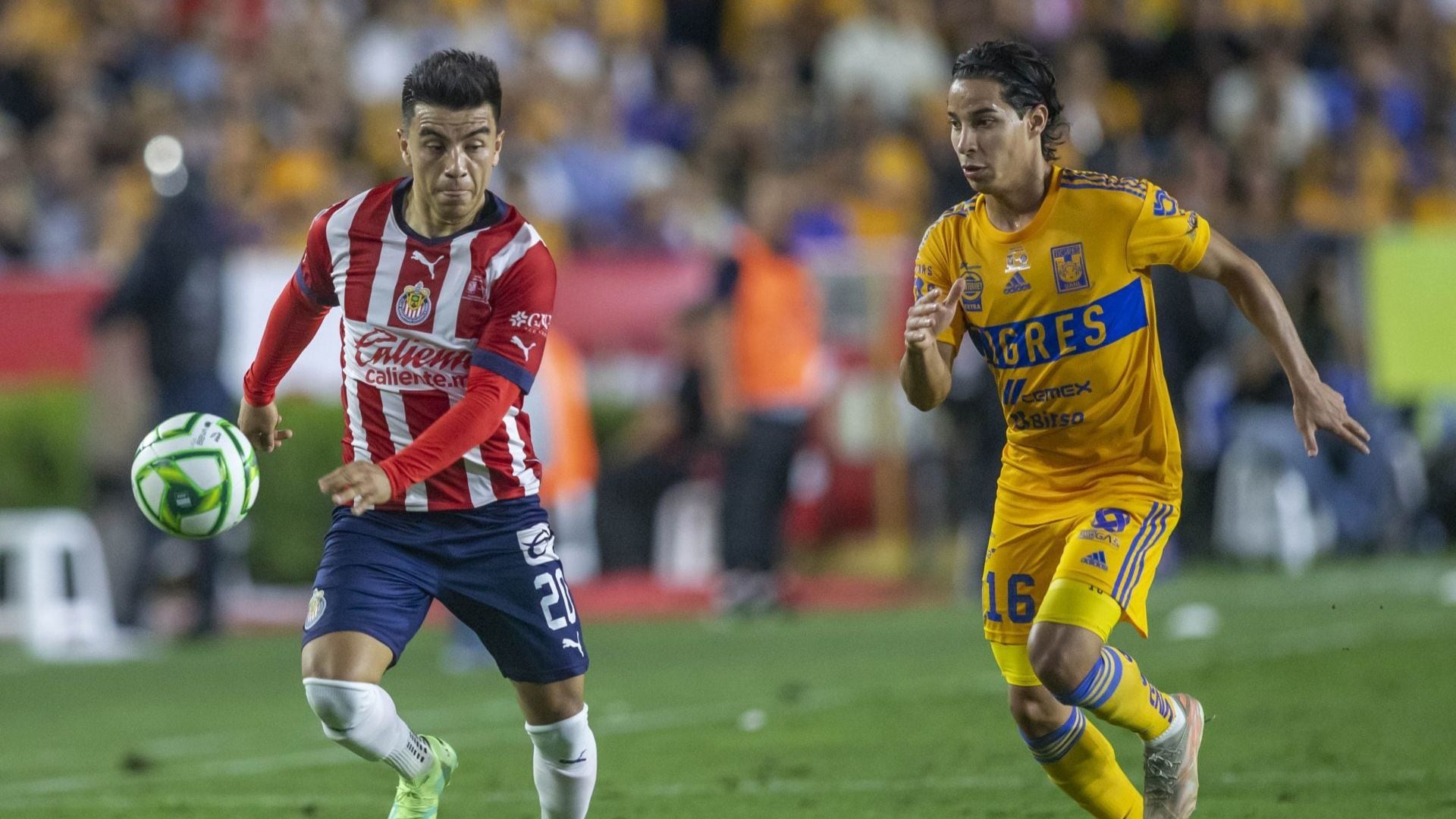 Tigres y Chivas: el choque de gigantes que promete revancha después de la final dramática (Gabriela Pérez Montiel/Cuartoscuro)