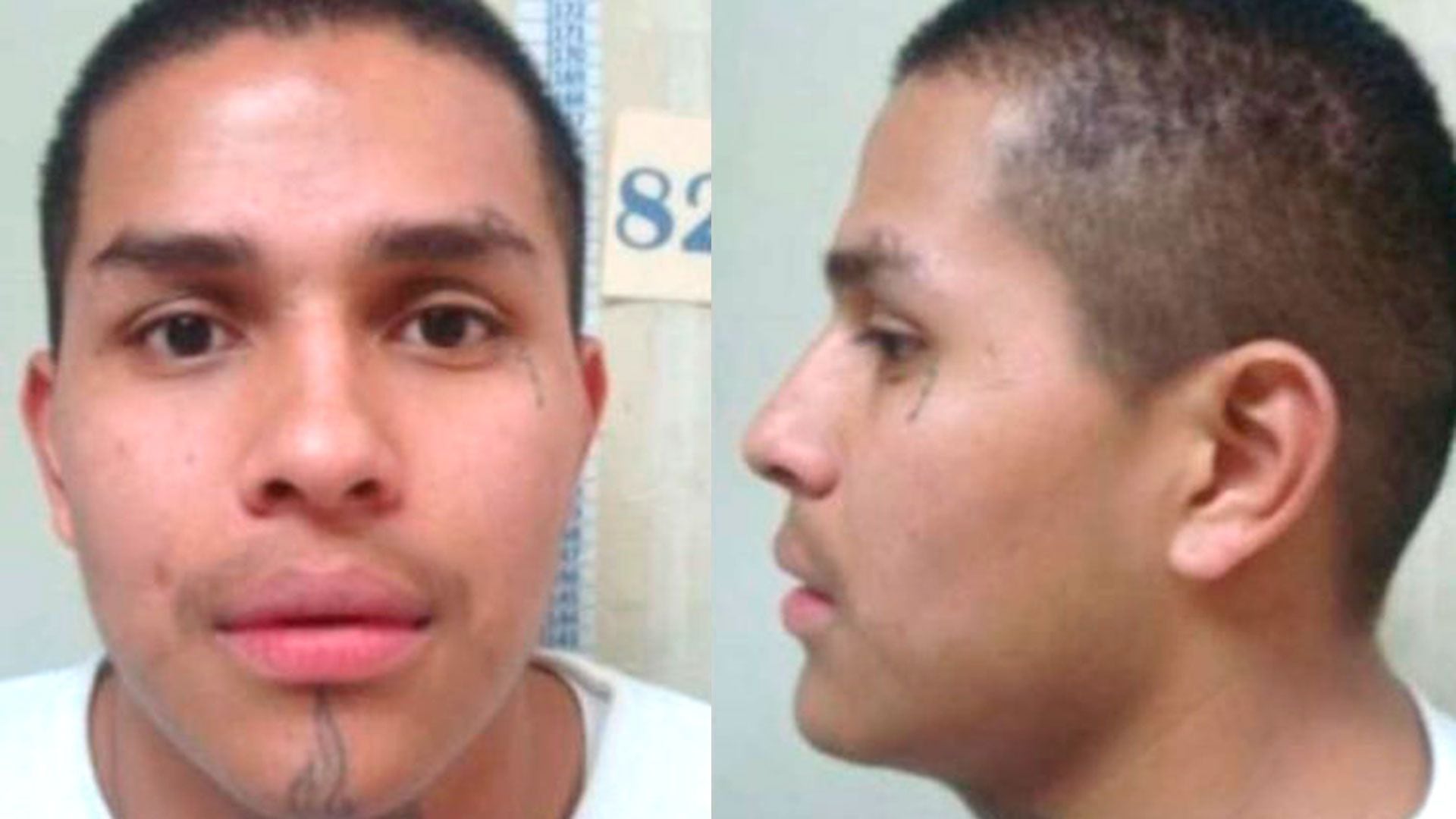 Eliu Melgar Diaz Alias Blue and Leader of the MS13-Gang in El Salvador and the United States