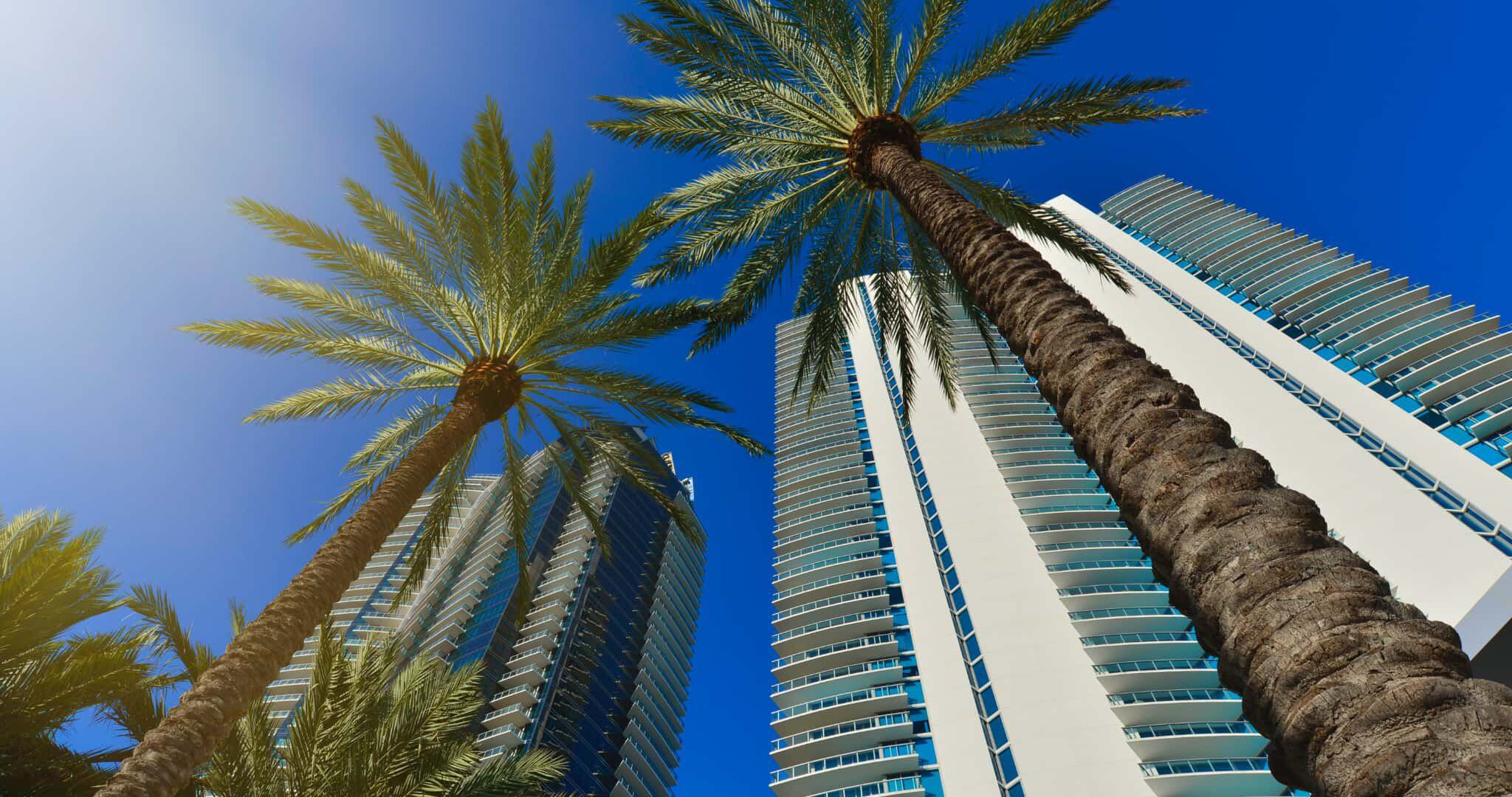 vista de edificios y palmeras en Sunny Isles, Miami