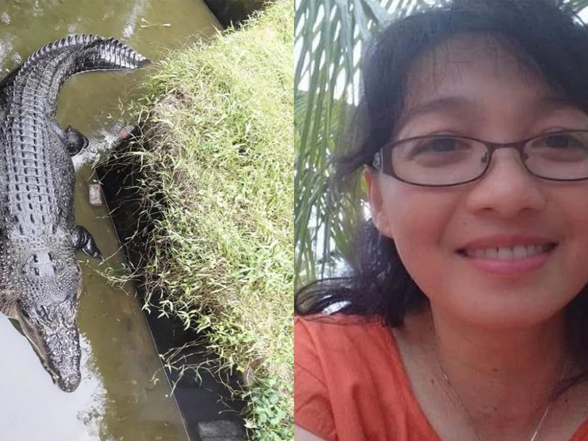 Una científica fue atacada y devorada por un cocodrilo de más de 5 metros  en Indonesia - Infobae