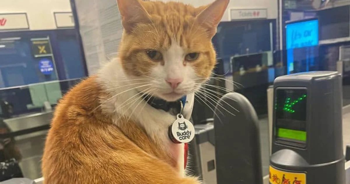 Poone Nala who became a subway station manager