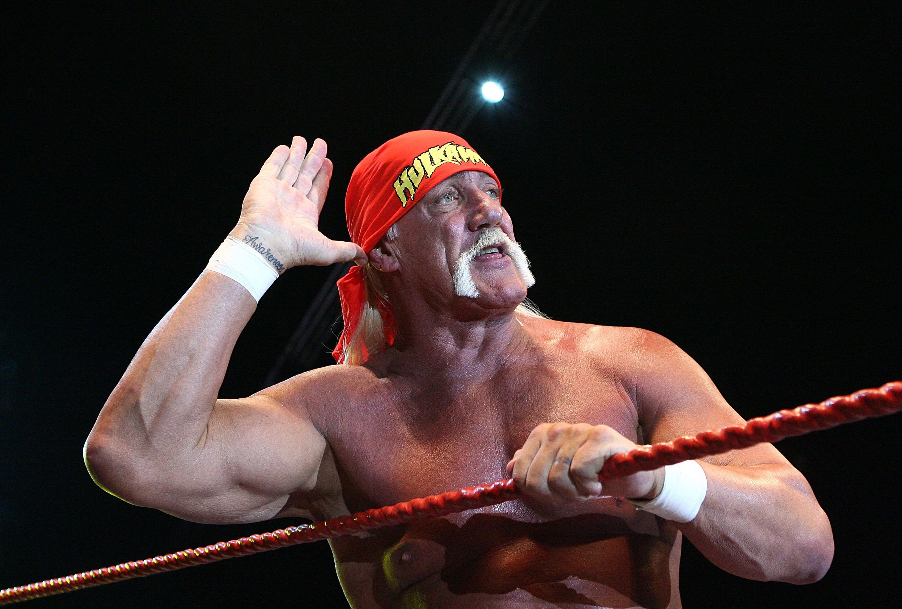 Hulk Hogan, la bestia blanca que apareció en videos porno, se declaró  racista y a los 70 se entregó al amor - Infobae