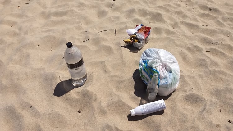 Verónica García de Vida Silvestre Argentina: “Generalmente en las playas, al menos en Mar del Plata, no hay cestos diferenciados para residuos orgánicos e inorgánicos” (Ramiro Souto)