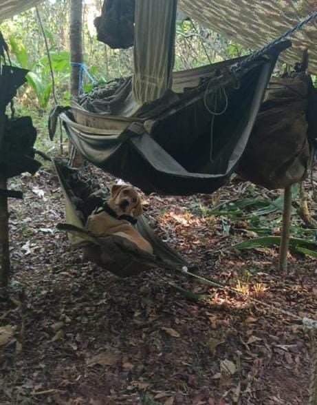 Happy 4 era integrante del grupo antiexplosivos de la Fuerza de Tarea Conjunta Omega. Foto: Ejército Nacional de Colombia