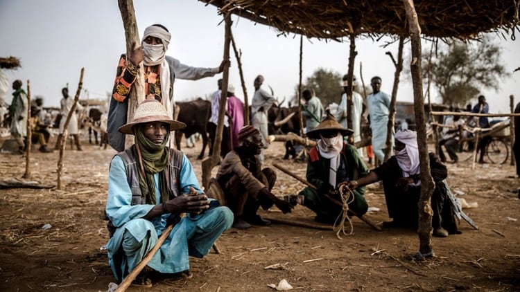 Un pastor fulani en Sokoto, Nigeria, donde reside la mayor población de este grupo étnico (Foto de Luis TATO / AFP)