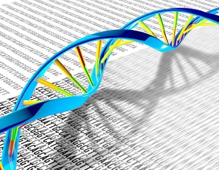 El primer hito en la “ciencia del ADN” fue describir su estructura: dos cadenas que serpentean una entorno a la otra
NIH
