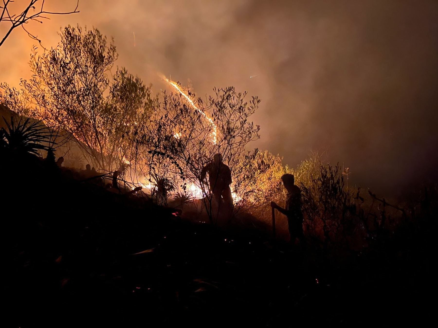 Las altas temperaturas y la ausencia de precipitaciones son factores determinantes. (Foto: Andina)