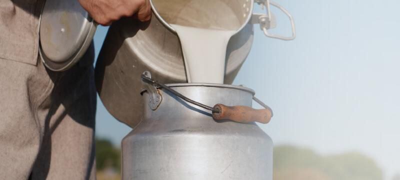 La leche es uno de los productos más apetecidos por los colombianos. Hace parte esencial de la canasta familiar - crédito Superintendencia de Industria y Comercio