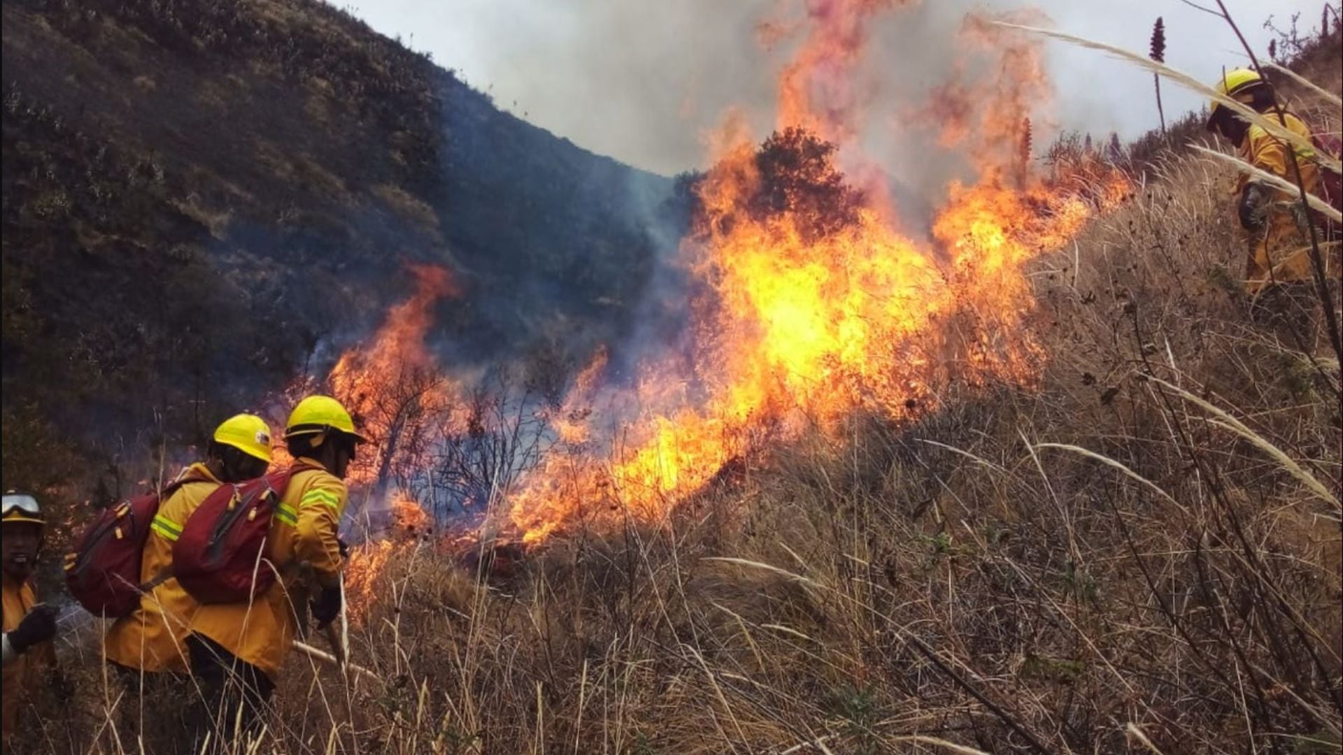 Comunidades indígenas alertan sobre riesgos debido a incendios forestales en la Amazonía. Foto: Andina