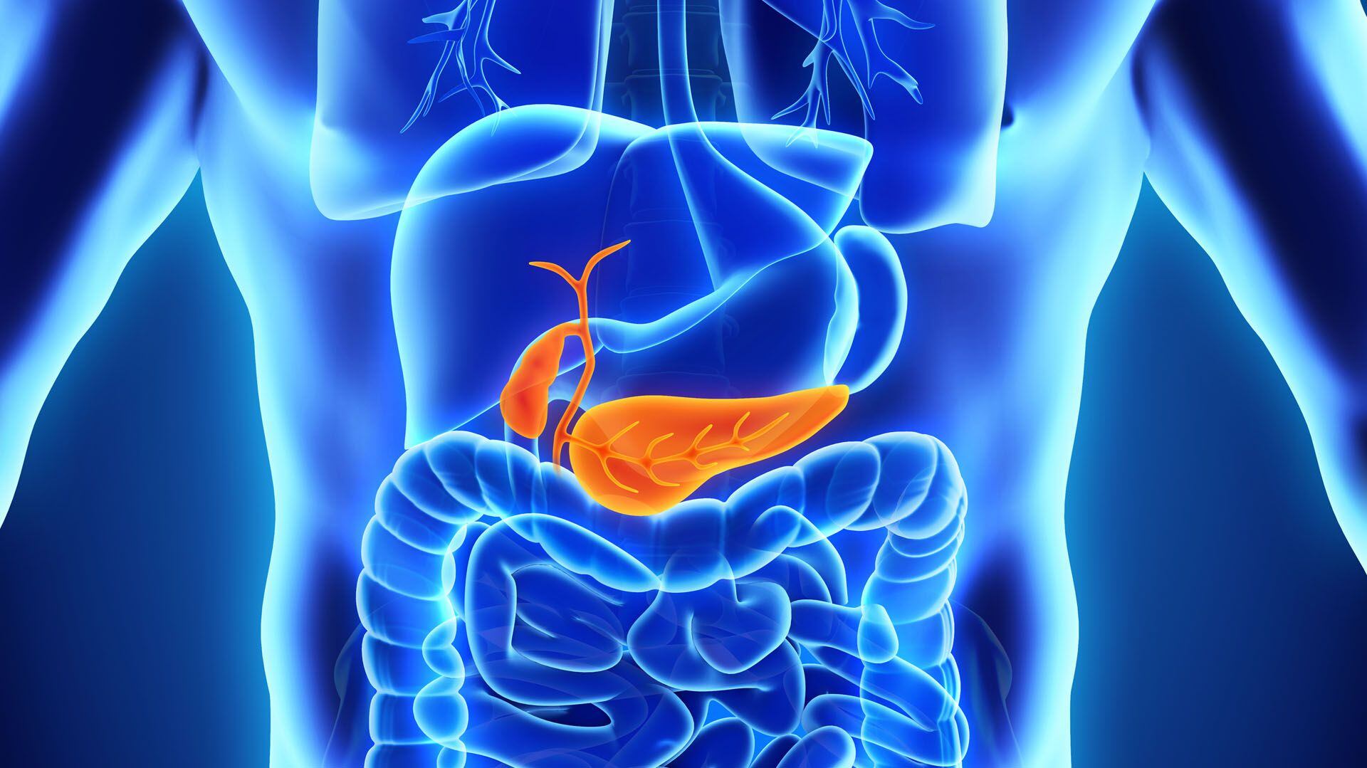 El cáncer de páncreas es más difícil y costoso de detectar. En muchos casos se diagnostica cuando ya se encuentra avanzado. A través de la IA se podría llegar a detectar más temprano/Archivo