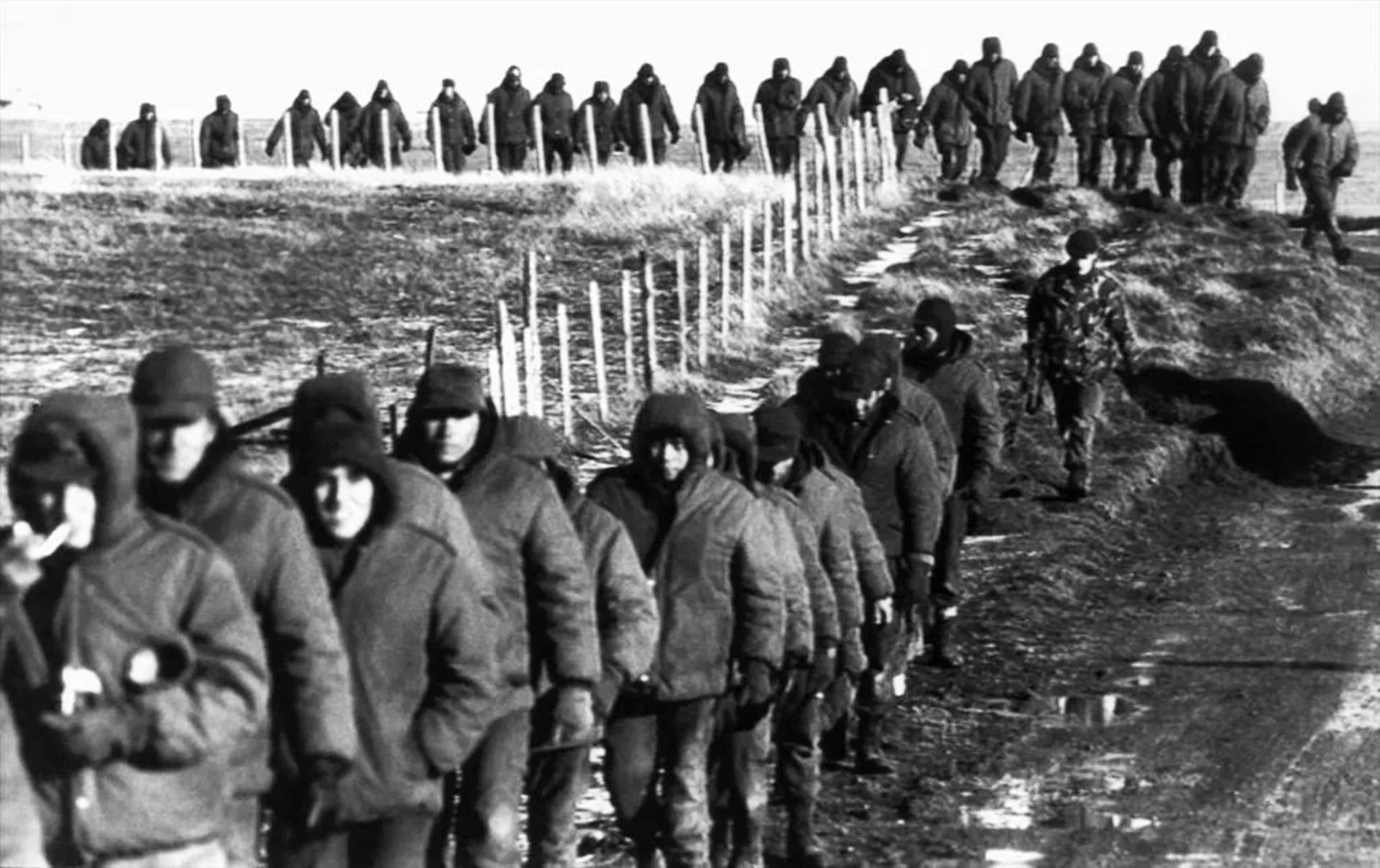 Prisioneros marchan hacia Puerto Argentino. El avance británico desde el Oeste obligó a los argentinos a reorientar sus defensas, construidas bajo la expectativa de un ataque desde el Norte