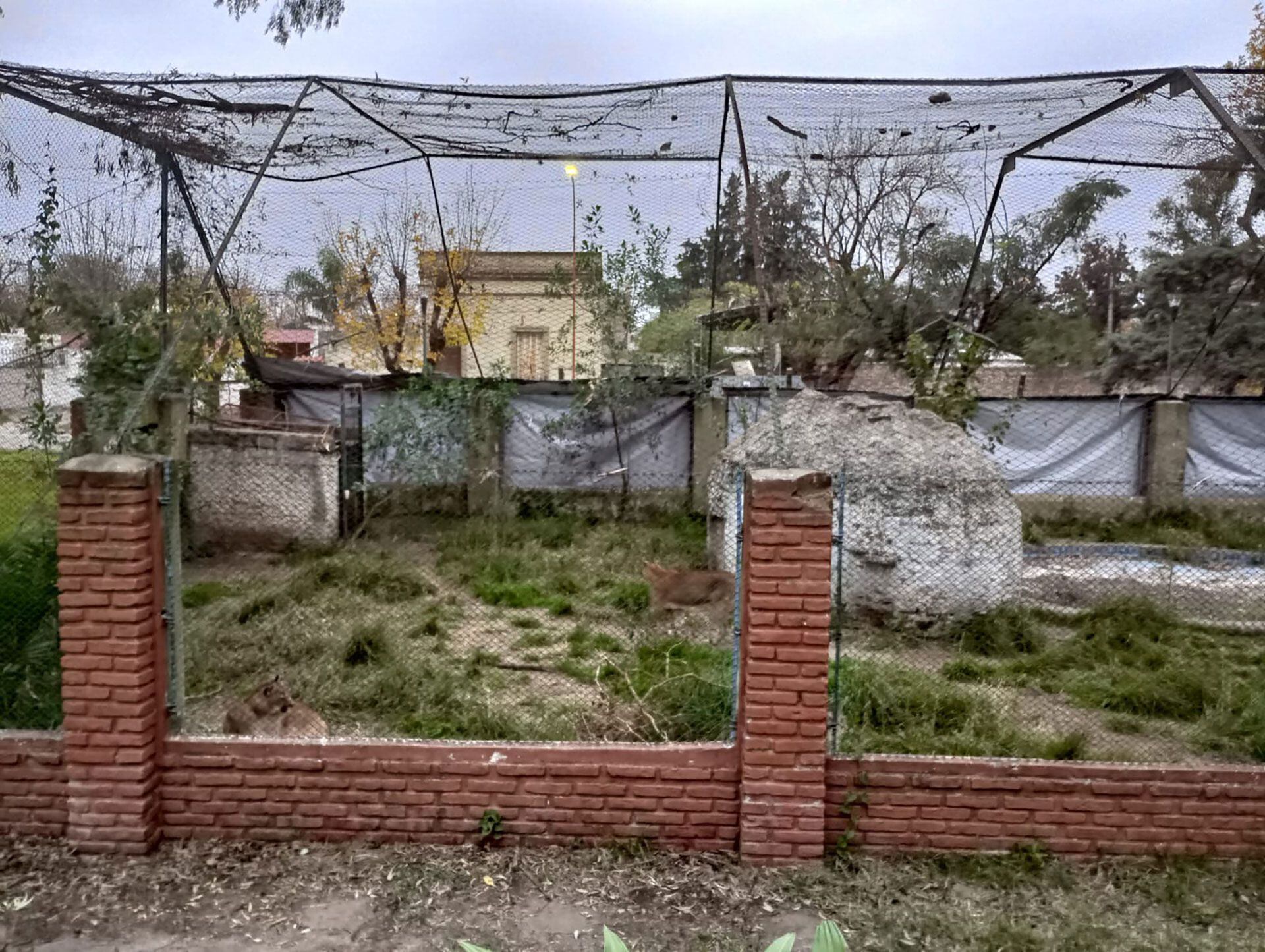 cierre zoo Colón