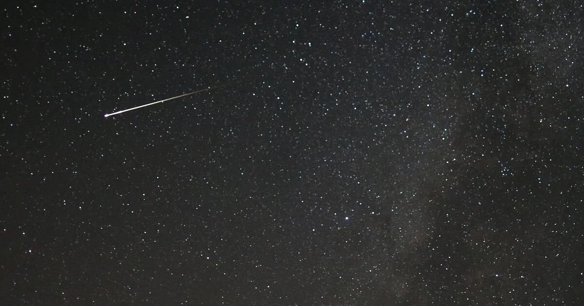 Wann wird die maximale Aktivität des Perseiden-Meteorstroms aufgezeichnet?