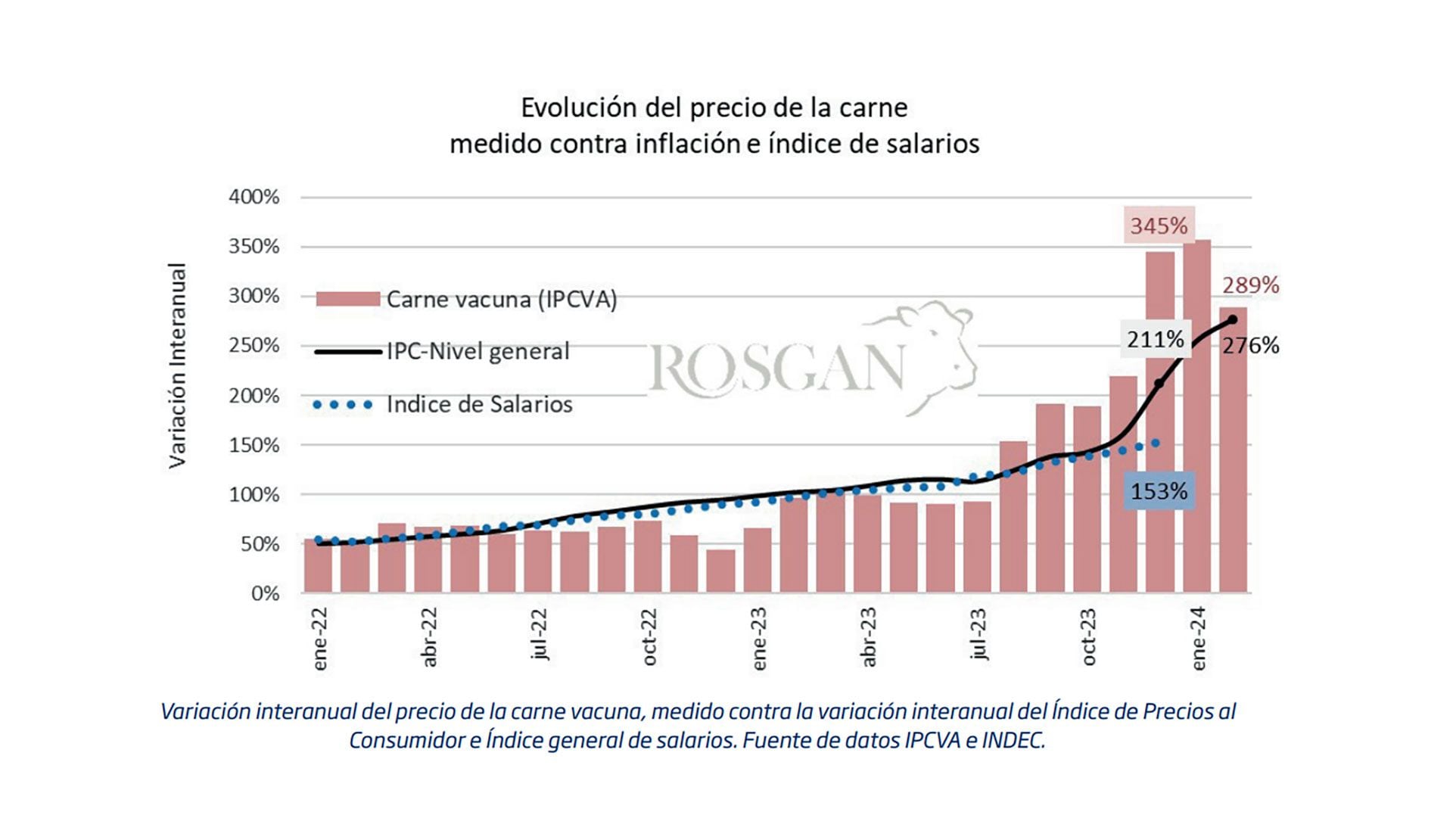 consumo de carne primer bimestre