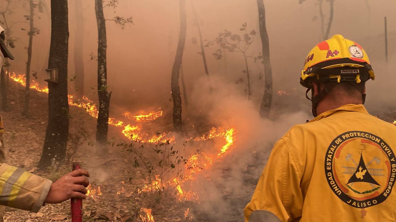 Jalisco fire, La Primavera forest