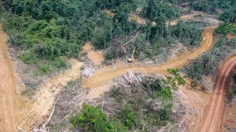 La deforestación del amazonas, junto con otras preocupaciones ecológicas, pueden complicar el acuerdo entre Mercosur y la Unión Europea.