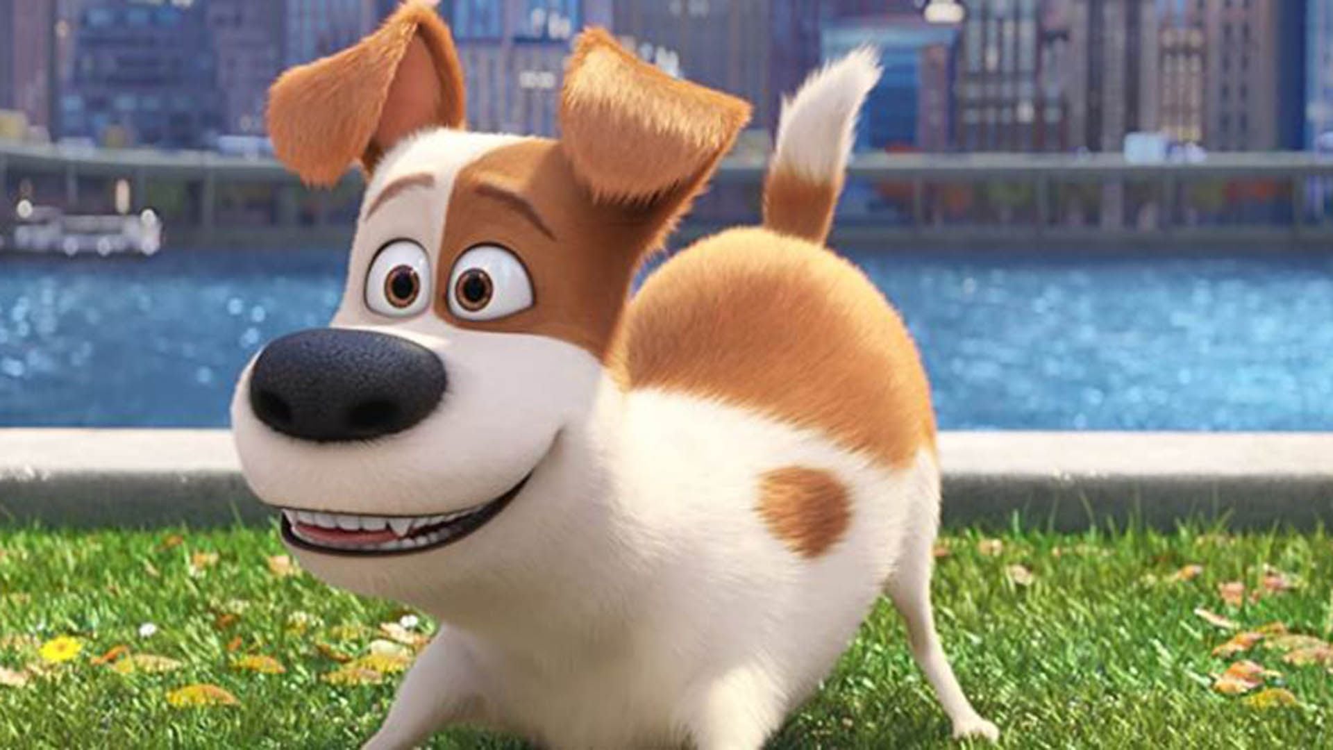 “la Vida Secreta De Tus Mascotas” Regresó Al Top 10 De Netflix Te