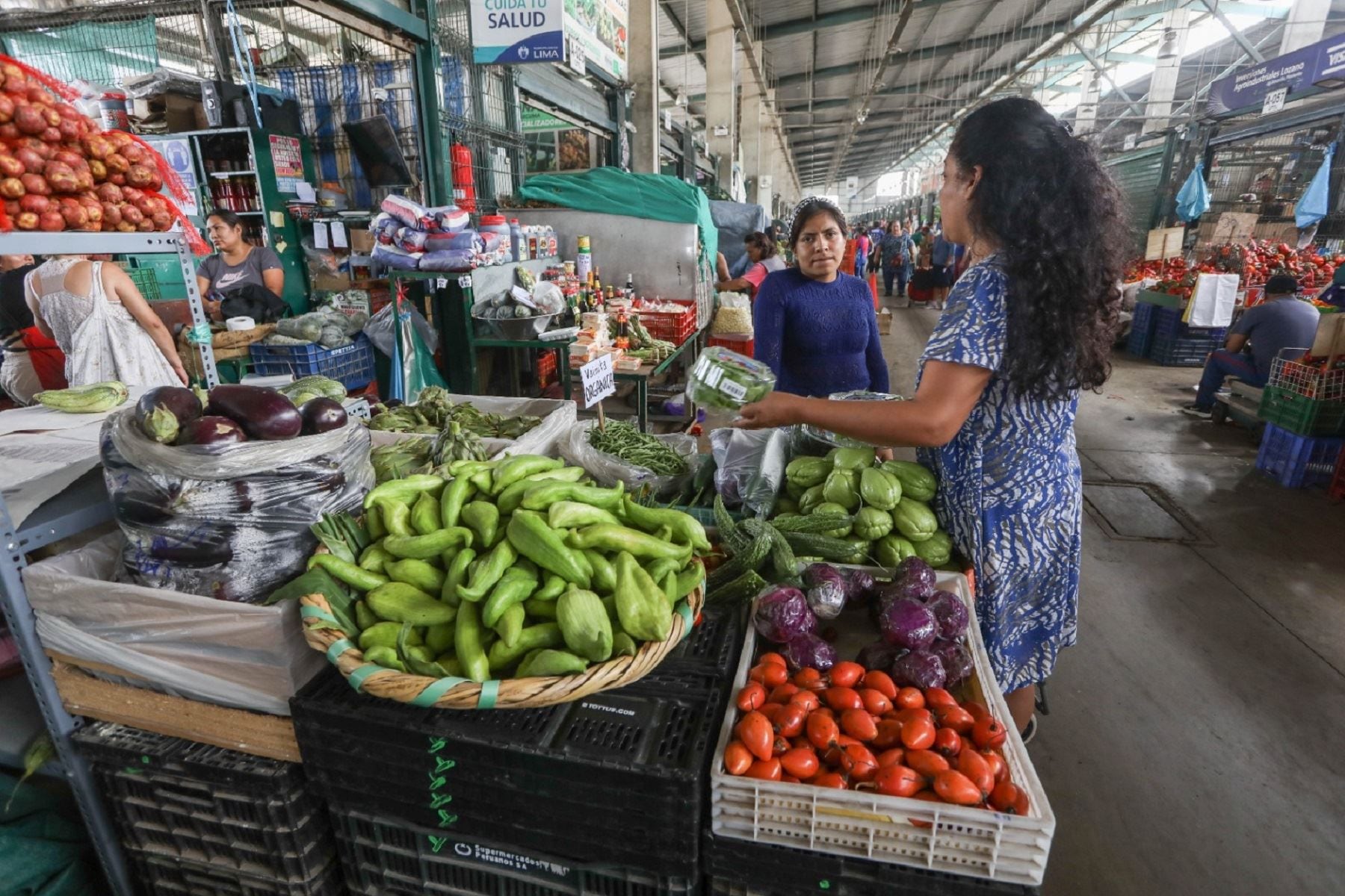 La investigación correspondiente al Tercer Monitoreo Ciudadano de presencia de agroquímicos en los alimentos ha arrojó preocupantes resultados. (Andina)