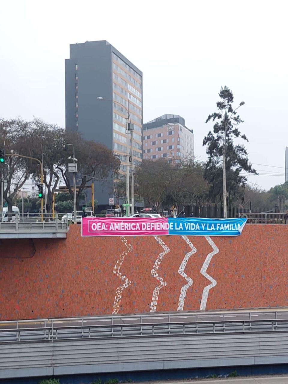 Protestas contra la OEA en Lima