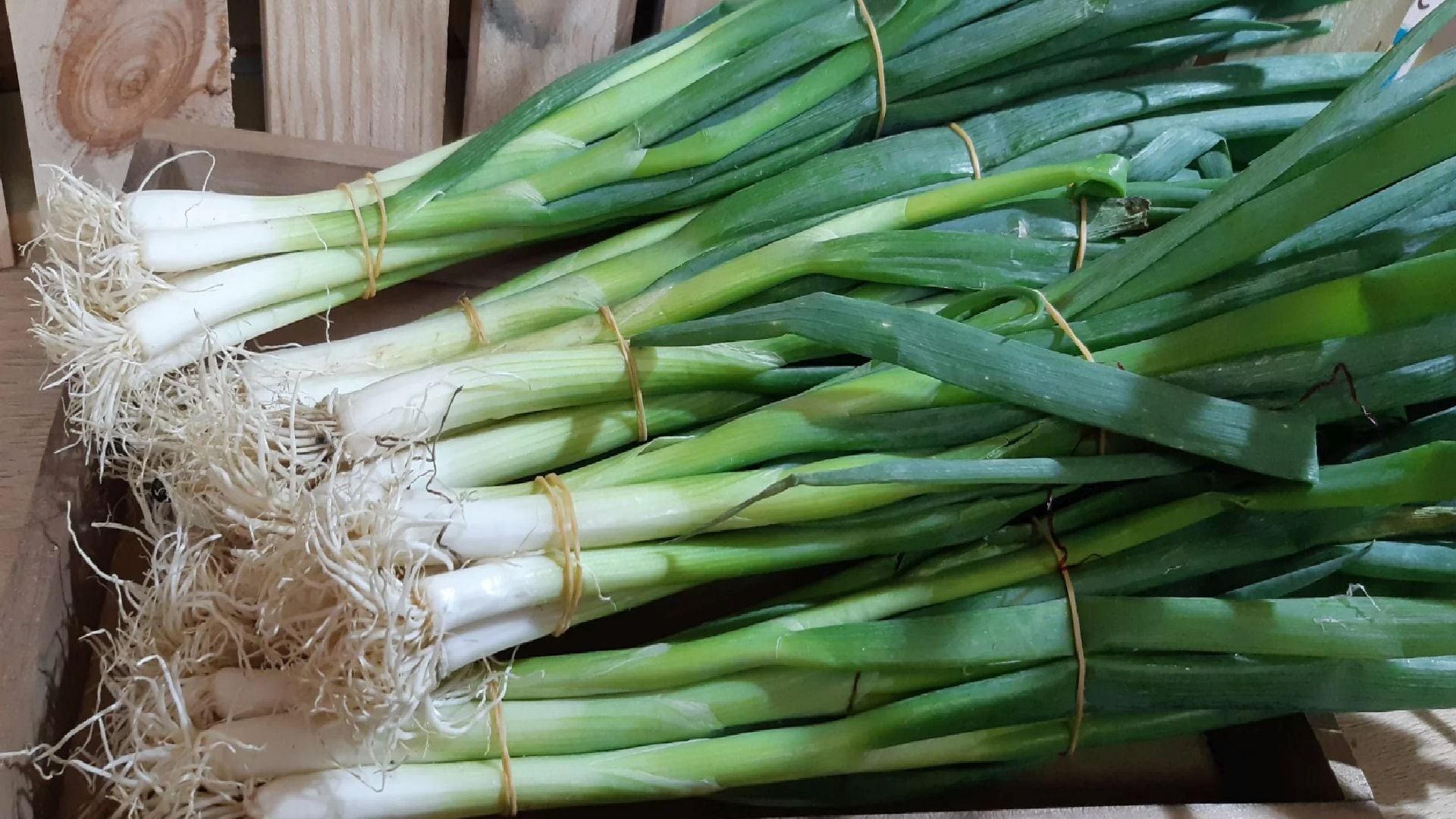 Los resultados del Tercer Monitoreo Ciudadano de Pesticidas en los Alimentos fueron alarmantes. (Frutería de Valencia)