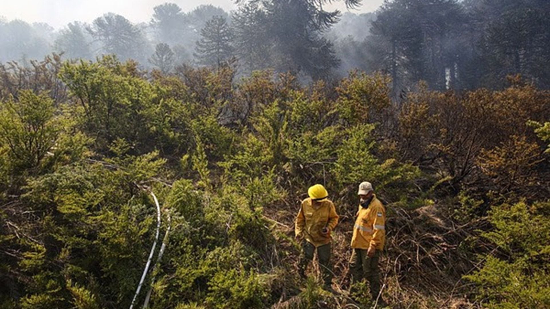 incendio en Aluminé, Neuquén