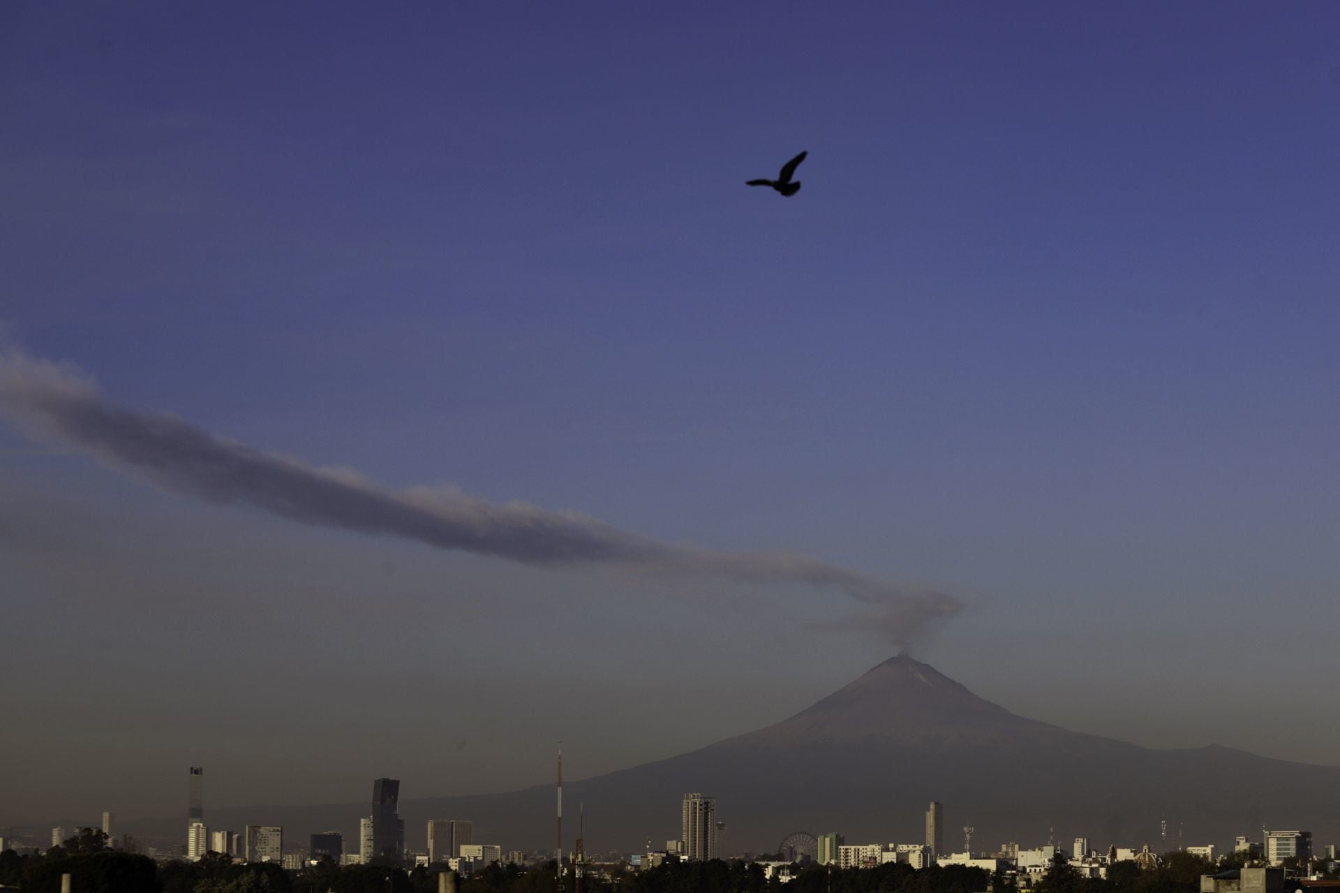 El Monte Popocatepetl libera 86 emisiones en un lapso de 24 horas, según lo informado por el monitoreo.