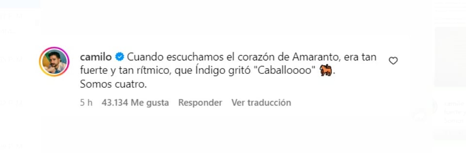 Camilo habló de la inocencia de su hija Índigo al enterarse de que va a tener un hermano - crédito @camilo/Instagram