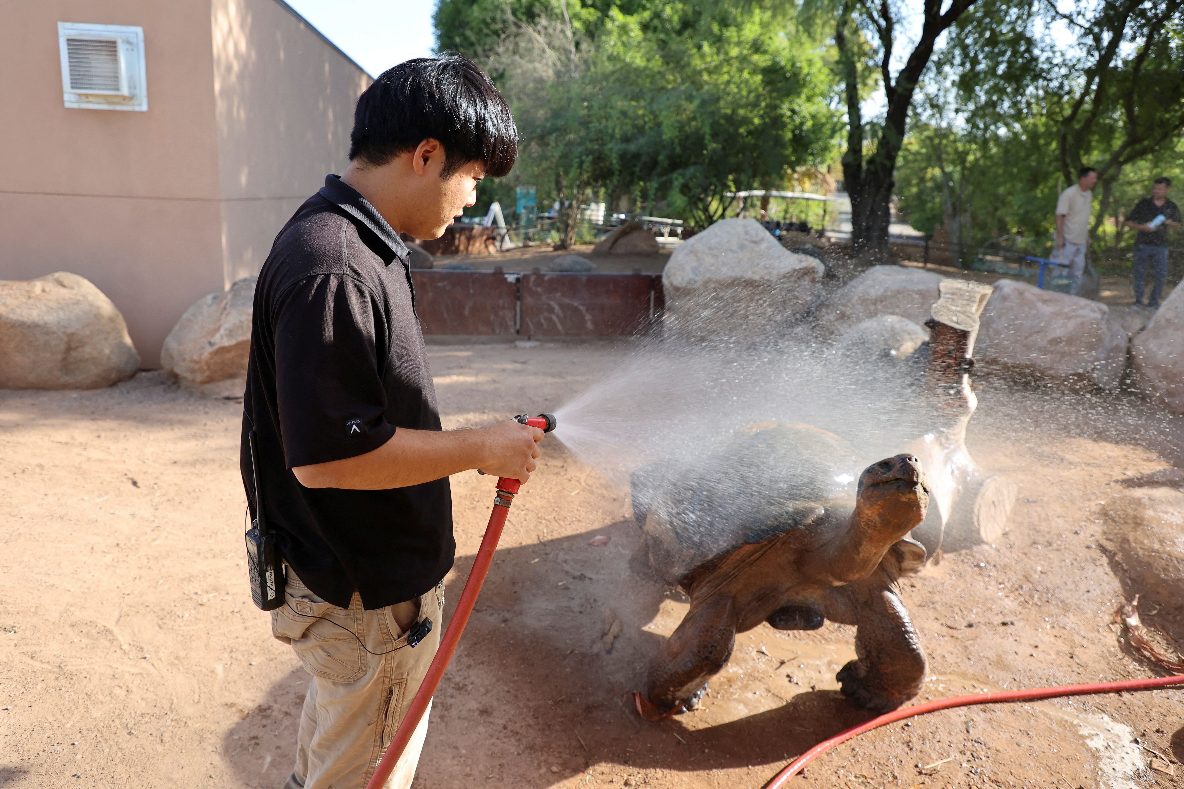 El zoológico de Phoenix tuvo que tomar medidas adicionales por la ola de calor. (REUTERS/Liliana Salgado)