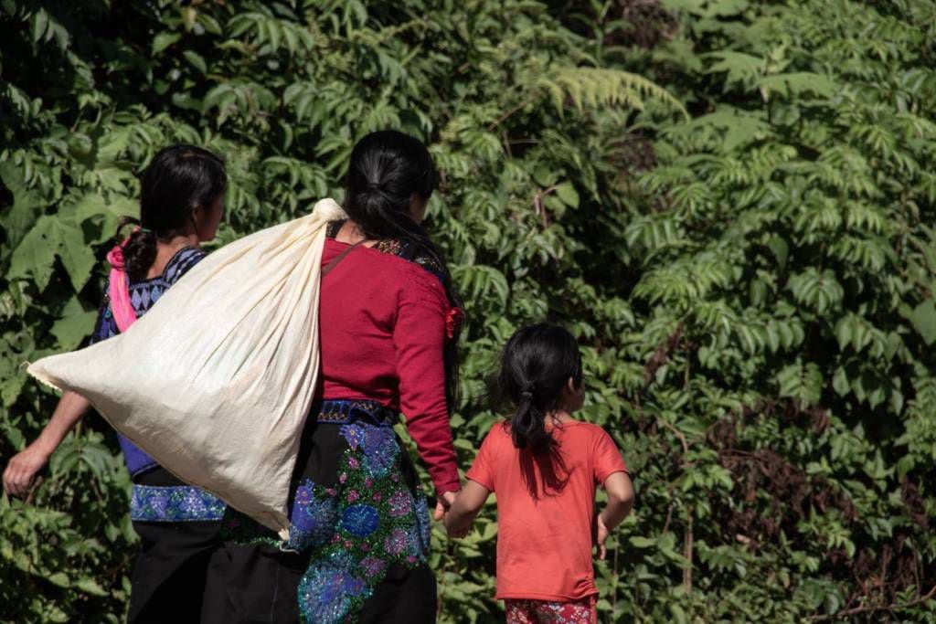 Miles de familias del pueblo tsotsil han sido desplazadas por la violencia en Chiapas. (Foto: Centro de Derechos Humanos Fray Bartolomé de Las Casas, A. C.)