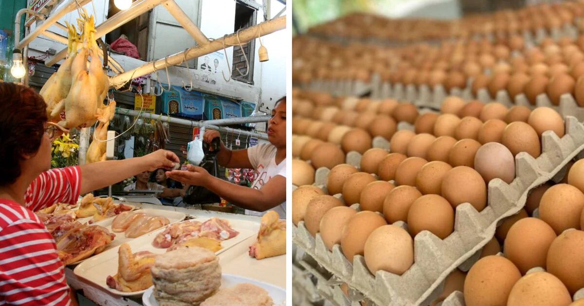 Chicken and egg prices to normalize in September, says Midagri